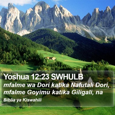 Yoshua 12:23 SWHULB Bible Verse Image