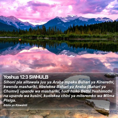 Yoshua 12:3 SWHULB Bible Verse Image