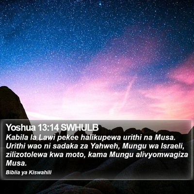 Yoshua 13:14 SWHULB Bible Verse Image