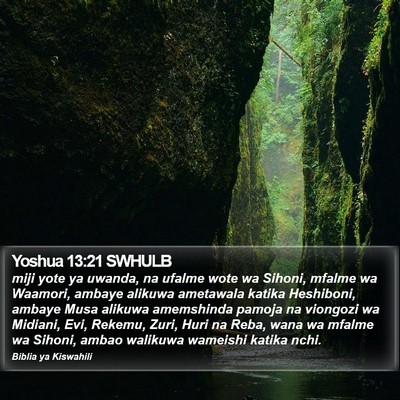 Yoshua 13:21 SWHULB Bible Verse Image