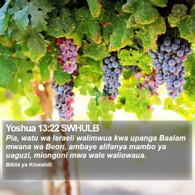 Yoshua 13:22 SWHULB Bible Verse Image