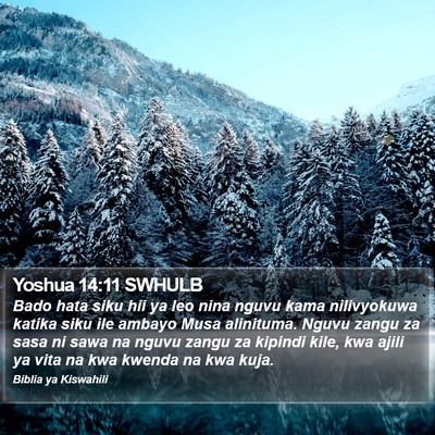 Yoshua 14:11 SWHULB Bible Verse Image