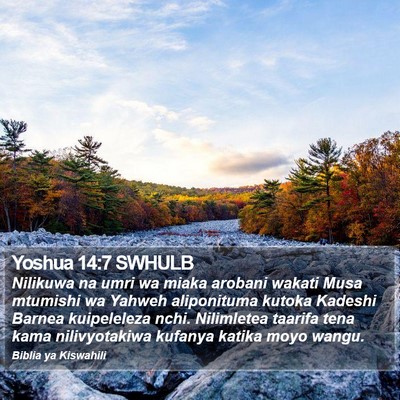 Yoshua 14:7 SWHULB Bible Verse Image