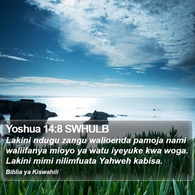 Yoshua 14:8 SWHULB Bible Verse Image