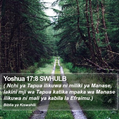 Yoshua 17:8 SWHULB Bible Verse Image