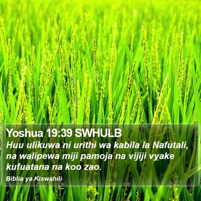 Yoshua 19:39 SWHULB Bible Verse Image
