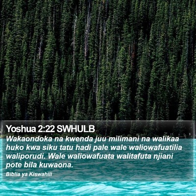 Yoshua 2:22 SWHULB Bible Verse Image