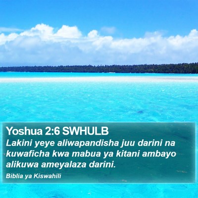 Yoshua 2:6 SWHULB Bible Verse Image