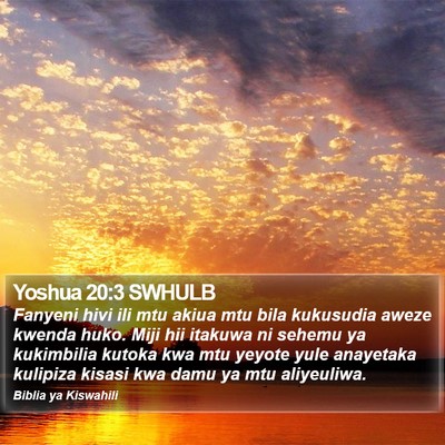 Yoshua 20:3 SWHULB Bible Verse Image