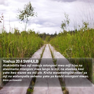 Yoshua 20:4 SWHULB Bible Verse Image
