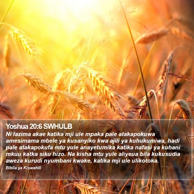 Yoshua 20:6 SWHULB Bible Verse Image
