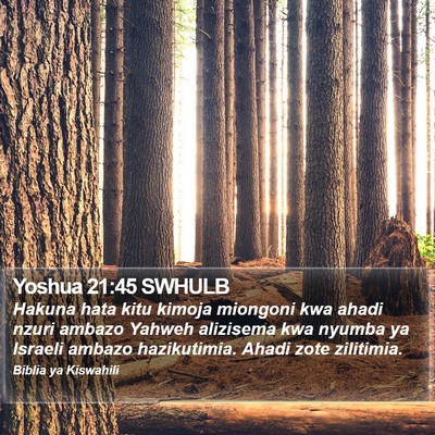 Yoshua 21:45 SWHULB Bible Verse Image