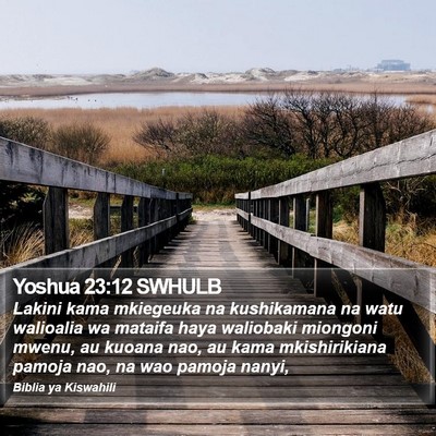 Yoshua 23:12 SWHULB Bible Verse Image