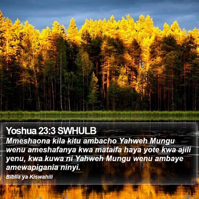 Yoshua 23:3 SWHULB Bible Verse Image
