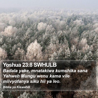 Yoshua 23:8 SWHULB Bible Verse Image