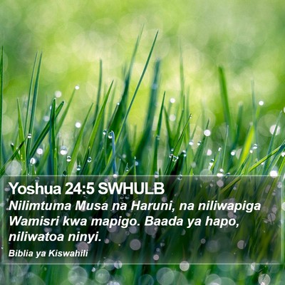 Yoshua 24:5 SWHULB Bible Verse Image