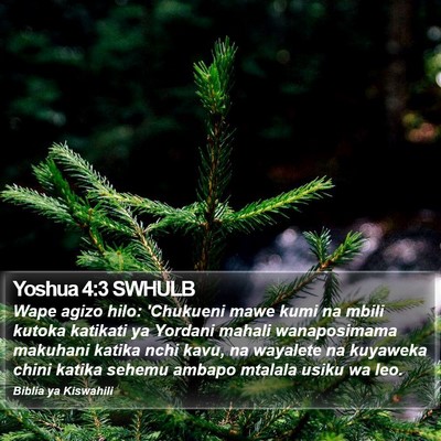 Yoshua 4:3 SWHULB Bible Verse Image