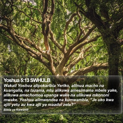 Yoshua 5:13 SWHULB Bible Verse Image