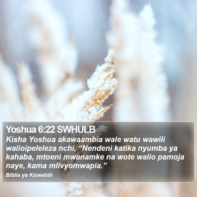 Yoshua 6:22 SWHULB Bible Verse Image