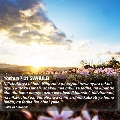 Yoshua 7:21 SWHULB Bible Verse Image