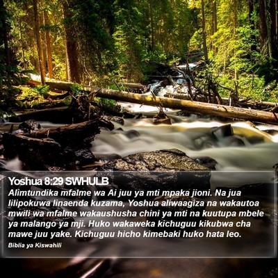 Yoshua 8:29 SWHULB Bible Verse Image