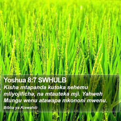 Yoshua 8:7 SWHULB Bible Verse Image