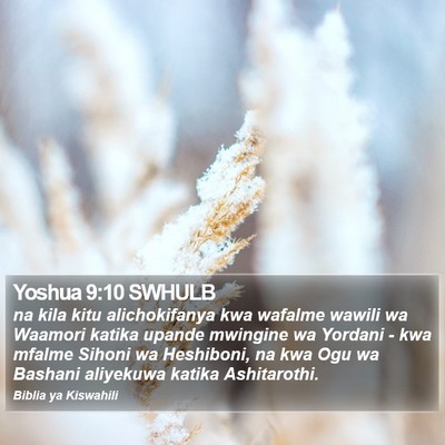 Yoshua 9:10 SWHULB Bible Verse Image