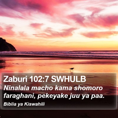 Zaburi 102:7 SWHULB Bible Verse Image