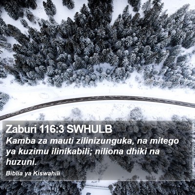 Zaburi 116:3 SWHULB Bible Verse Image