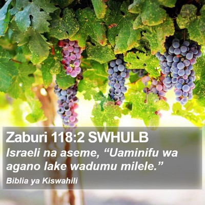 Zaburi 118:2 SWHULB Bible Verse Image