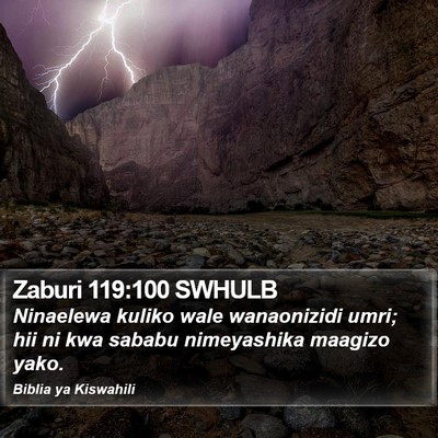 Zaburi 119:100 SWHULB Bible Verse Image