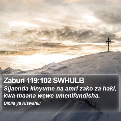 Zaburi 119:102 SWHULB Bible Verse Image