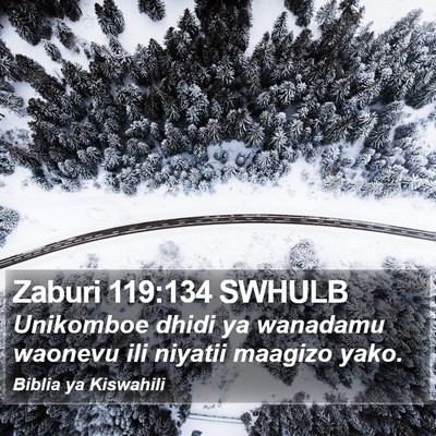 Zaburi 119:134 SWHULB Bible Verse Image