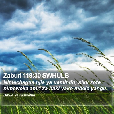 Zaburi 119:30 SWHULB Bible Verse Image