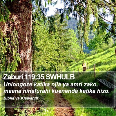 Zaburi 119:35 SWHULB Bible Verse Image