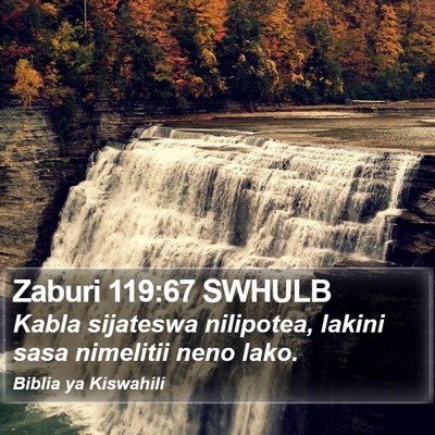 Zaburi 119:67 SWHULB Bible Verse Image