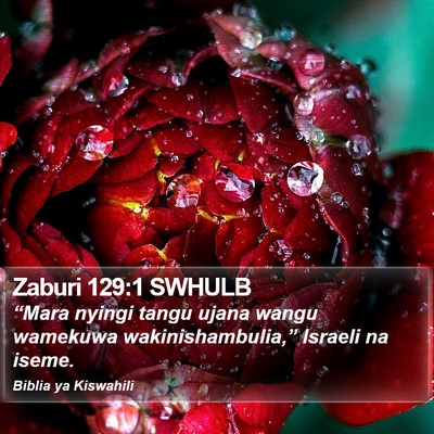 Zaburi 129:1 SWHULB Bible Verse Image