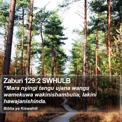 Zaburi 129:2 SWHULB Bible Verse Image