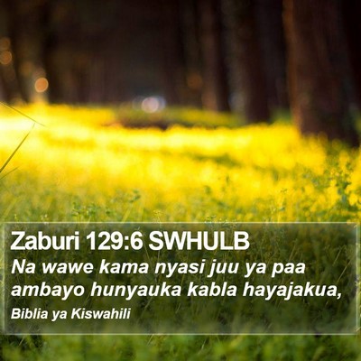Zaburi 129:6 SWHULB Bible Verse Image