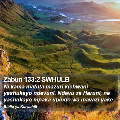 Zaburi 133:2 SWHULB Bible Verse Image
