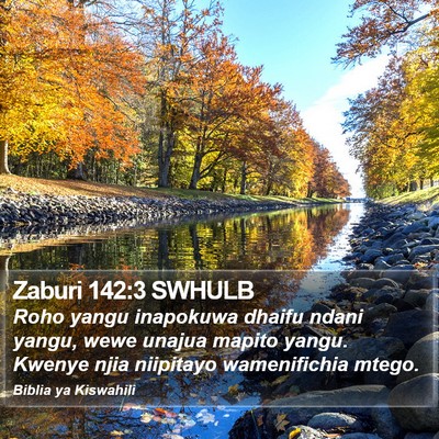 Zaburi 142:3 SWHULB Bible Verse Image