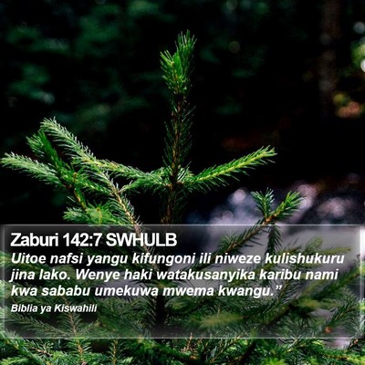 Zaburi 142:7 SWHULB Bible Verse Image
