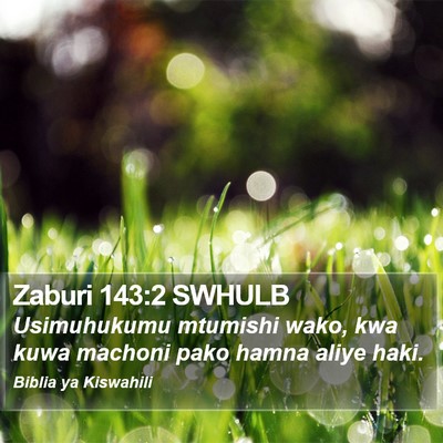 Zaburi 143:2 SWHULB Bible Verse Image