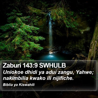 Zaburi 143:9 SWHULB Bible Verse Image