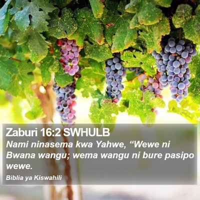 Zaburi 16:2 SWHULB Bible Verse Image