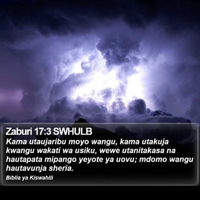 Zaburi 17:3 SWHULB Bible Verse Image