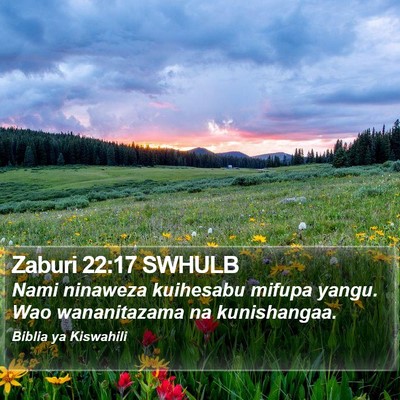 Zaburi 22:17 SWHULB Bible Verse Image