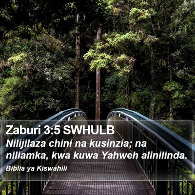 Zaburi 3:5 SWHULB Bible Verse Image