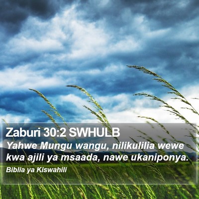 Zaburi 30:2 SWHULB Bible Verse Image