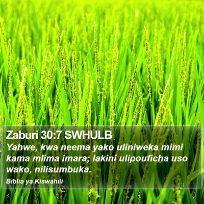 Zaburi 30:7 SWHULB Bible Verse Image